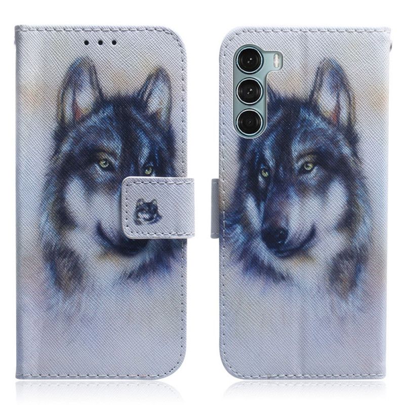 Folio Deksel Til Moto G200 5G Canine Gaze