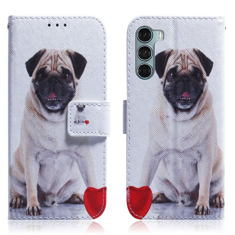 Folio Deksel Til Moto G200 5G Pug Dog