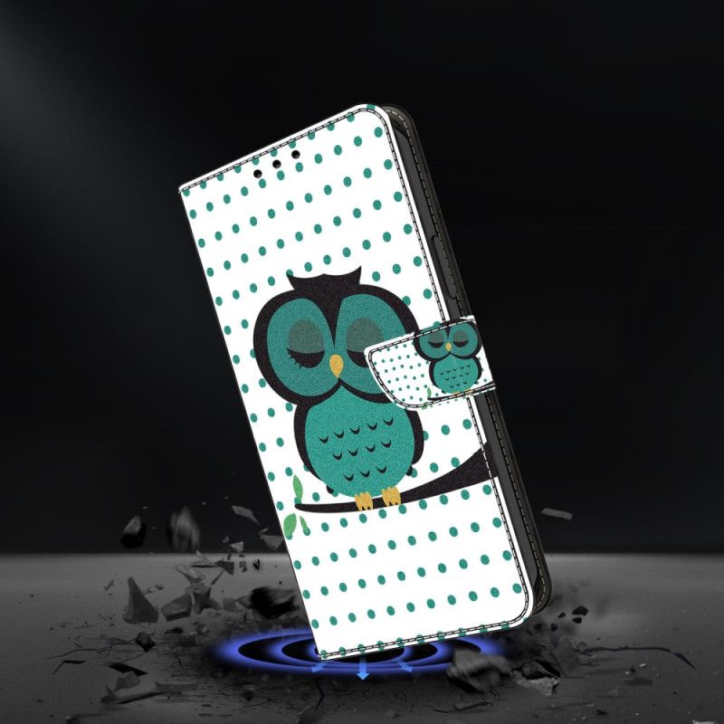 Folio Deksel Google Pixel 9 Pro Xl Sovende Ugle