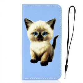 Beskyttelse Deksel Til iPhone 12 / 12 Pro Folio Deksel Superstar Cat